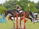 Image 31 in HOUGHTON INTL. 2016. BURGHLEY YOUNG EVENT HORSE 4YO SERIES.