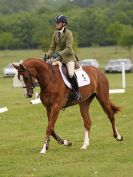 Image 34 in HOUGHTON INTL. 2016. BURGHLEY YOUNG EVENT HORSE 4YO SERIES.