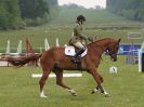 Image 35 in HOUGHTON INTL. 2016. BURGHLEY YOUNG EVENT HORSE 4YO SERIES.