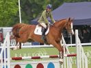 Image 36 in HOUGHTON INTL. 2016. BURGHLEY YOUNG EVENT HORSE 4YO SERIES.