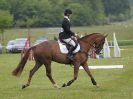 Image 37 in HOUGHTON INTL. 2016. BURGHLEY YOUNG EVENT HORSE 4YO SERIES.