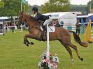 Image 38 in HOUGHTON INTL. 2016. BURGHLEY YOUNG EVENT HORSE 4YO SERIES.