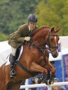Image 16 in HOUGHTON INTL. 2016. BURGHLEY YOUNG EVENT HORSE 5YO SERIES.