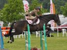Image 2 in HOUGHTON INTL. 2016. BURGHLEY YOUNG EVENT HORSE 5YO SERIES.