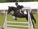 Image 24 in HOUGHTON INTL. 2016. BURGHLEY YOUNG EVENT HORSE 5YO SERIES.