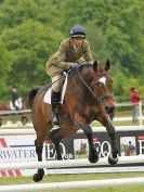 Image 27 in HOUGHTON INTL. 2016. BURGHLEY YOUNG EVENT HORSE 5YO SERIES.