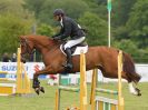 Image 28 in HOUGHTON INTL. 2016. BURGHLEY YOUNG EVENT HORSE 5YO SERIES.