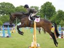 Image 29 in HOUGHTON INTL. 2016. BURGHLEY YOUNG EVENT HORSE 5YO SERIES.