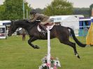 Image 3 in HOUGHTON INTL. 2016. BURGHLEY YOUNG EVENT HORSE 5YO SERIES.