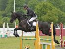 Image 5 in HOUGHTON INTL. 2016. BURGHLEY YOUNG EVENT HORSE 5YO SERIES.
