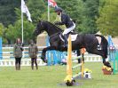 Image 6 in HOUGHTON INTL. 2016. BURGHLEY YOUNG EVENT HORSE 5YO SERIES.