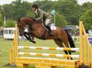 Image 9 in HOUGHTON INTL. 2016. BURGHLEY YOUNG EVENT HORSE 5YO SERIES.