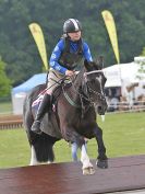 Image 21 in HOUGHTON INTL. 2016. DAY 1. ARENA EVENTING.