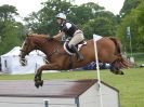 Image 34 in HOUGHTON INTL. 2016. DAY 1. ARENA EVENTING.