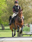 Image 50 in HOUGHTON INTL. 2016. DAY 1. ARENA EVENTING.