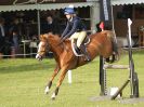 Image 52 in HOUGHTON INTL. 2016. DAY 1. ARENA EVENTING.