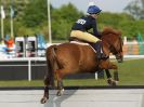 Image 53 in HOUGHTON INTL. 2016. DAY 1. ARENA EVENTING.