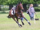 Image 37 in HOUGHTON INTL. 2016. DAY 4 CIC*** CROSS COUNTRY