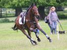 Image 37 in HOUGHTON INTL. 2016.  DAY 4 CIC*** CROSS COUNTRY