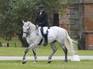 Image 13 in UNAFFILIATED DRESSAGE ON DAY 4. HOUGHTON HALL 2016