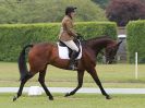 Image 31 in UNAFFILIATED DRESSAGE ON DAY 4. HOUGHTON HALL 2016