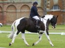 Image 44 in UNAFFILIATED DRESSAGE ON DAY 4. HOUGHTON HALL 2016