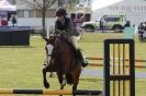 HOUGHTON INTERNATIONAL PONY CLUB TEAM CHALLENGE (AND SOME DOG PICS )