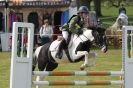 Image 8 in HOUGHTON INTERNATIONAL PONY CLUB TEAM CHALLENGE (AND SOME DOG PICS )