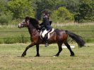 Image 10 in ADVENTURE RC. DRESSAGE. 5 JUNE 2016