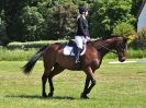 Image 15 in ADVENTURE RC. DRESSAGE. 5 JUNE 2016