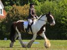 Image 18 in ADVENTURE RC. DRESSAGE. 5 JUNE 2016