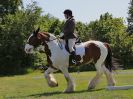 Image 19 in ADVENTURE RC. DRESSAGE. 5 JUNE 2016