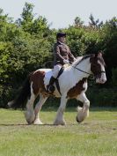 Image 22 in ADVENTURE RC. DRESSAGE. 5 JUNE 2016