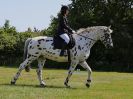 Image 25 in ADVENTURE RC. DRESSAGE. 5 JUNE 2016