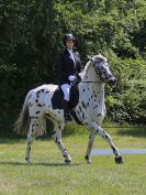 Image 26 in ADVENTURE RC. DRESSAGE. 5 JUNE 2016