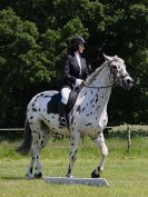 Image 29 in ADVENTURE RC. DRESSAGE. 5 JUNE 2016