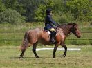 Image 3 in ADVENTURE RC. DRESSAGE. 5 JUNE 2016