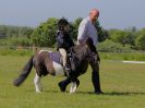 Image 33 in ADVENTURE RC. DRESSAGE. 5 JUNE 2016