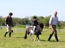 Image 35 in ADVENTURE RC. DRESSAGE. 5 JUNE 2016