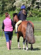 Image 41 in ADVENTURE RC. DRESSAGE. 5 JUNE 2016