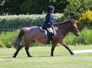 Image 7 in ADVENTURE RC. DRESSAGE. 5 JUNE 2016