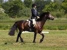 Image 9 in ADVENTURE RC. DRESSAGE. 5 JUNE 2016