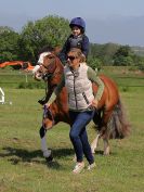 Image 12 in ADVENTURE RC. ALL SMALL CHILDREN JUMPING  CLASSES  WITH THEIR MUMS ETC. 5 JUNE 2016