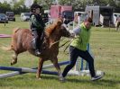 Image 22 in ADVENTURE RC. ALL SMALL CHILDREN JUMPING  CLASSES  WITH THEIR MUMS ETC. 5 JUNE 2016