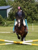 Image 12 in ADVENTURE RC. 5 JUNE 2016. SHOW JUMPING