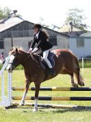 Image 145 in ADVENTURE RC. 5 JUNE 2016. SHOW JUMPING