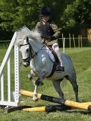 Image 29 in ADVENTURE RC. 5 JUNE 2016. SHOW JUMPING