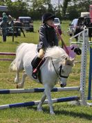 Image 45 in ADVENTURE RC. 5 JUNE 2016. SHOW JUMPING