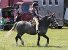 Image 70 in ADVENTURE RC. 5 JUNE 2016. SHOW JUMPING