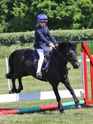 Image 81 in ADVENTURE RC. 5 JUNE 2016. SHOW JUMPING